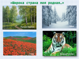 К уроку окружающего мира по теме «моя родина – россия», слайд 16