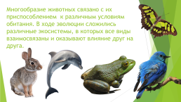 Взаимосвязи животных в природе, слайд 6