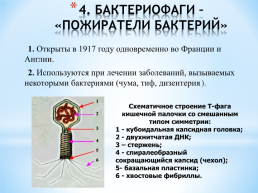 Неклеточные формы жизни. Вирусы и бактериофаги, слайд 13