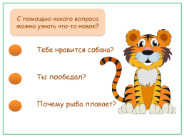Тест-тренажёр по теме «спрашиваем и отвечаем» русский родной язык 1 класс, слайд 11