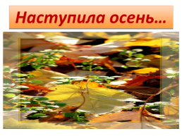 Лес осенью!, слайд 24