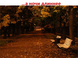 Лес осенью!, слайд 4