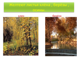 Лес осенью!, слайд 8