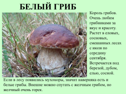 Съедобные грибы, слайд 2