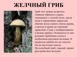 Съедобные грибы, слайд 39