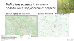 Что нового мы узнали о флоре россии благодаря inaturalist?, слайд 31