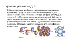 Компактизация хроматина, слайд 19
