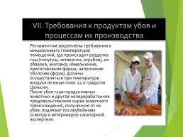 Технические регламенты таможенного союза в области безопасности сырья и продукции животного происхождения, слайд 19