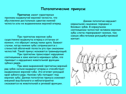 Анатомическое строение зубов человека, слайд 36