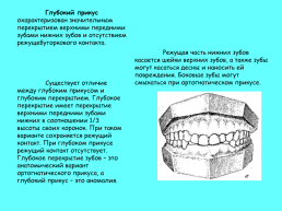Анатомическое строение зубов человека, слайд 38
