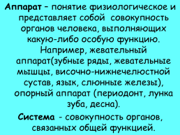 Анатомическое строение зубов человека, слайд 4