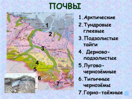 Западная Сибирь, слайд 23