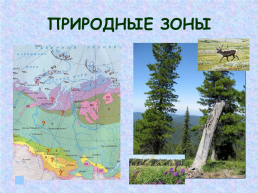 Западная Сибирь, слайд 25