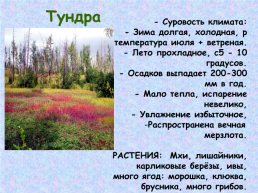 Западная Сибирь, слайд 27