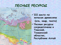 Западная Сибирь, слайд 42