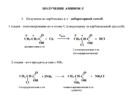 Аминокислоты, слайд 14