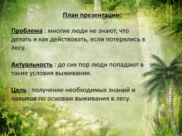 «Как выжить в лесу?», слайд 2