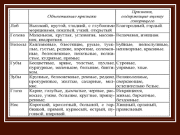 Описание внешности человека. Урок русского языка в 7 классе, слайд 16