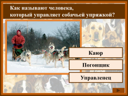 Как называется домик собаки?. Конура. Хатка. Домик, слайд 13