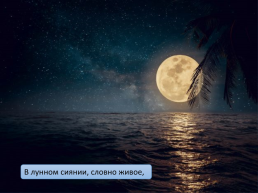 Презентация по стихотворению Ф. Тютчева «как хорошо ты, о море ночное», слайд 5