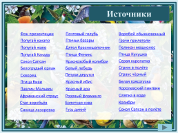 «Совиный попугай» – кого так называют?, слайд 23