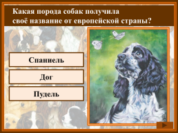 Как называется домик собаки?, слайд 6