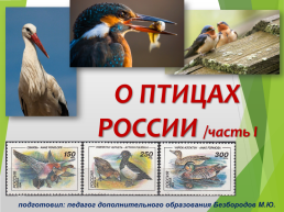 О птицах России. Часть 1, слайд 1