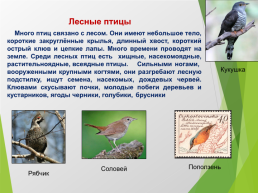 О птицах России. Часть 1, слайд 3