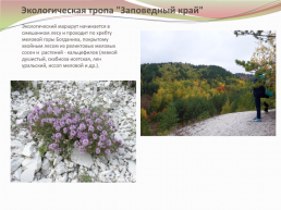 Экологические тропы «Хвалынского национального парка», слайд 4