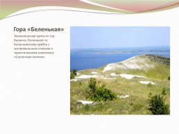 Экологические тропы «Хвалынского национального парка», слайд 7