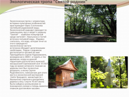 Экологические тропы «Хвалынского национального парка», слайд 8