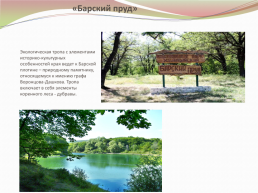 Экологические тропы «Хвалынского национального парка», слайд 9