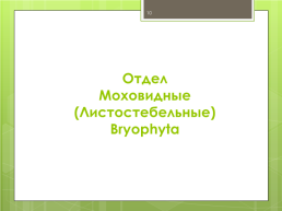 Мохообразные bryophyta, слайд 10