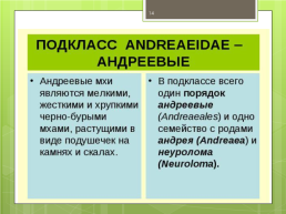 Мохообразные bryophyta, слайд 14