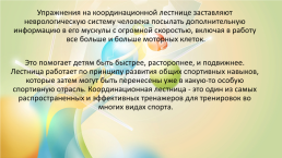 Нестандартное оборудование для занятий физической культурой в ДОУ «координационная лестница»., слайд 5