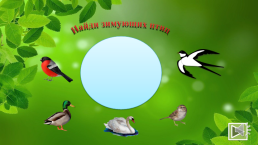 Интерактивная игра «птицы», слайд 2