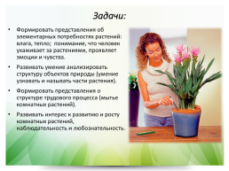 Комнатные растения, слайд 3