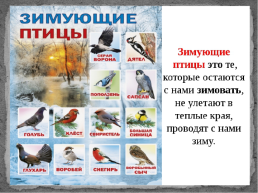 Проект: как живут животные и птицы зимой?, слайд 5