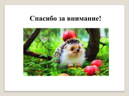 «Животные Кузбасса», слайд 31