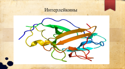 Цитокины, их виды и функции, слайд 5