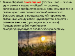 Тема : «понятие о природном сообществе», слайд 24