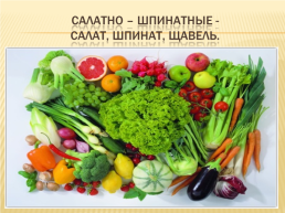 К открытому уроку в 5 классе на тему: «значение овощей и фруктов в питании человека.», слайд 15