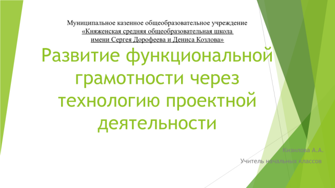 Полевой хомяк функциональная грамотность презентация