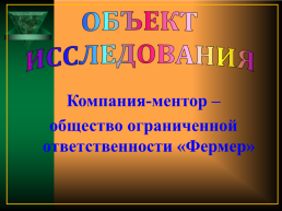 Экономический проект: путь к успеху, слайд 2