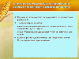 Бизнес план организация мини фермы по выращиванию гусей, слайд 10