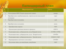 Бизнес план организация мини фермы по выращиванию гусей, слайд 13