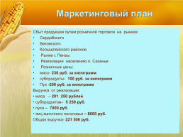 Бизнес план организация мини фермы по выращиванию гусей, слайд 14