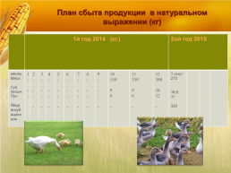 Бизнес план организация мини фермы по выращиванию гусей, слайд 16