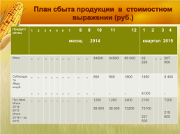 Бизнес план организация мини фермы по выращиванию гусей, слайд 17