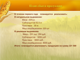 Бизнес план организация мини фермы по выращиванию гусей, слайд 18